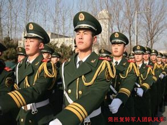 莞邑管理员团队