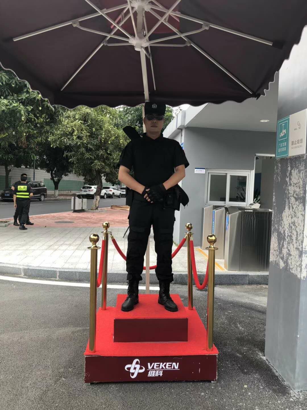 随身护卫